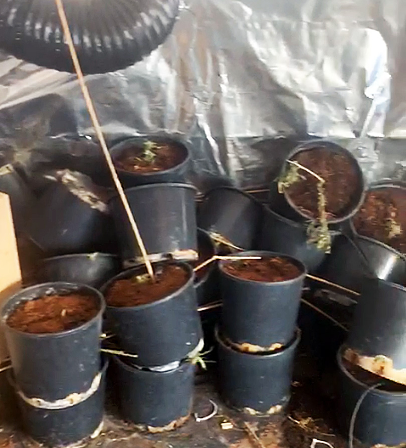 wietplantage ontruiming schade verzekerd