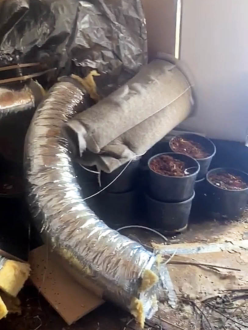 wietplantage ontruiming schoonmaken verhuurklaar