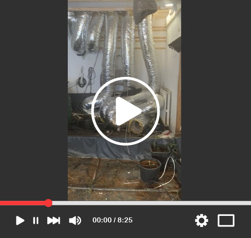 wietplantage ontruiming video